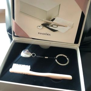Pandora Silver cleaning kit